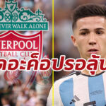 สื่อเผย “ลิเวอร์พูล” ตกลงคว้า “เฟร์นานเดซ” จาก “เบนฟิก้า” แล้ว